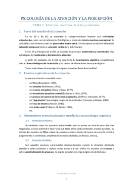 PAP Tema 2.pdf