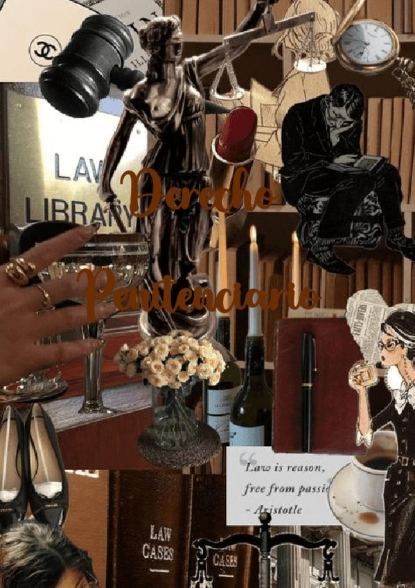 Derecho-penitenciario.pdf