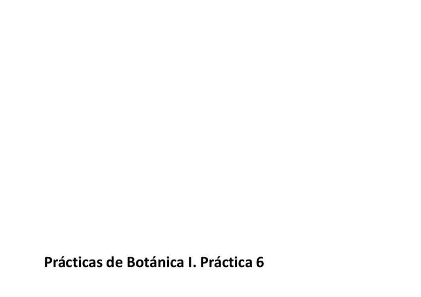 Practica-6.-Teoria..pdf
