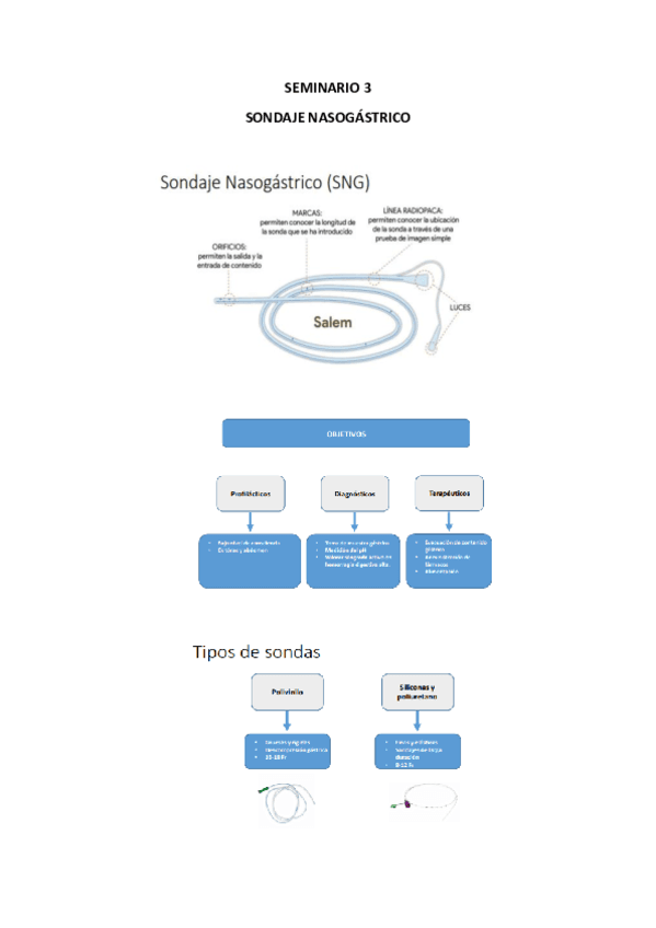 SEMINARIO-3-SONDAJE-NSG.pdf