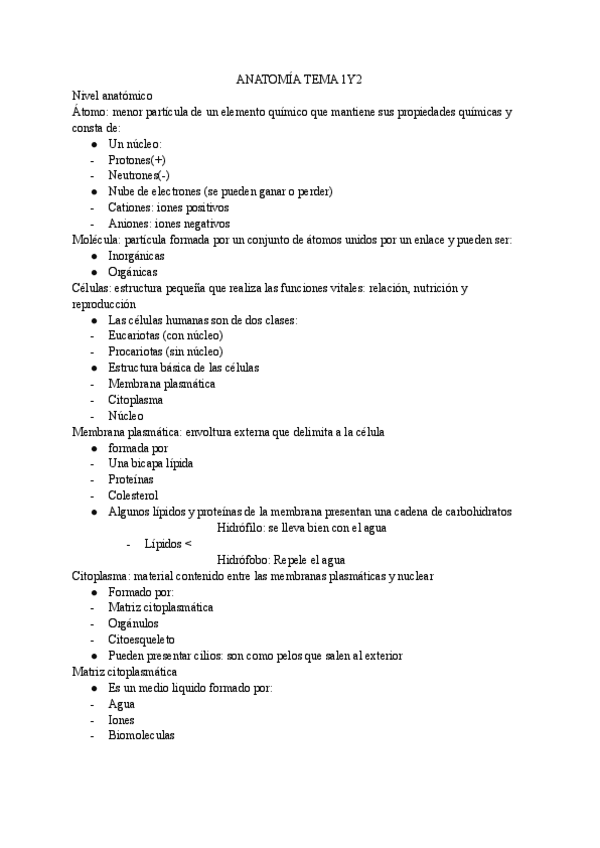 Anatomia-T1y2.pdf