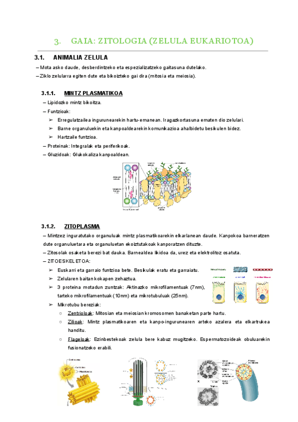 3.-gaia.pdf