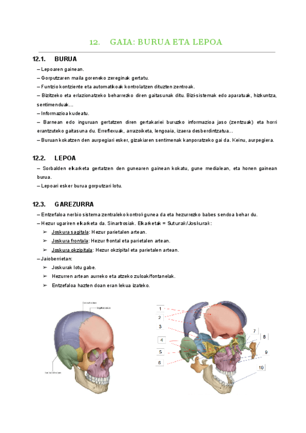 12.-gaia.pdf