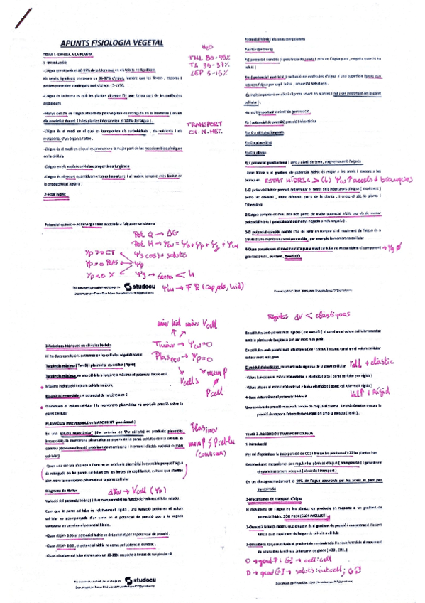 1.-APUNTS-FISIOLOGIA-VEGETAL.pdf