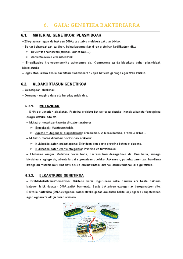 06.-gaia.pdf