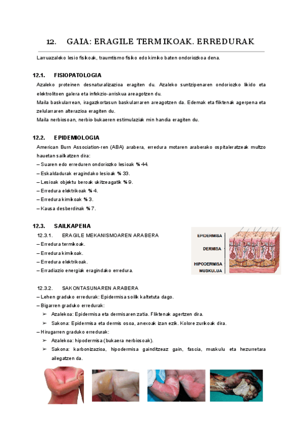 12.-gaia.pdf