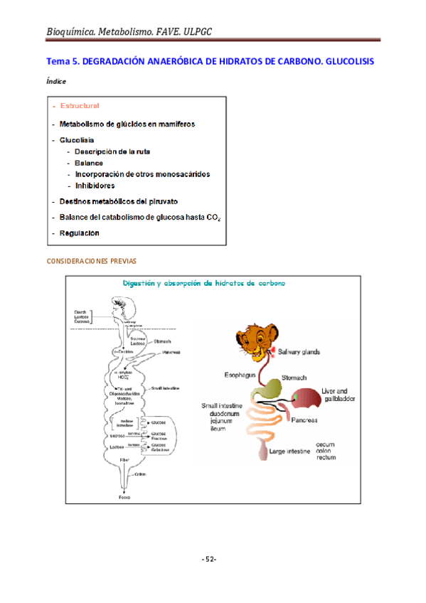 6Metabolismo-2-Temas-5-8.pdf