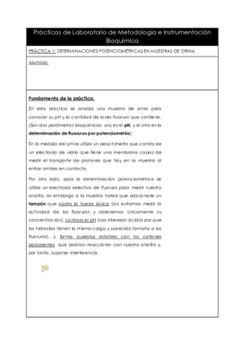 Práctica 1 metodólogia corregida.pdf
