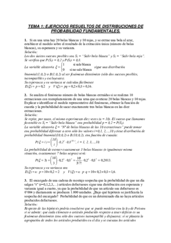 Tema1. ejercicios resueltos.pdf
