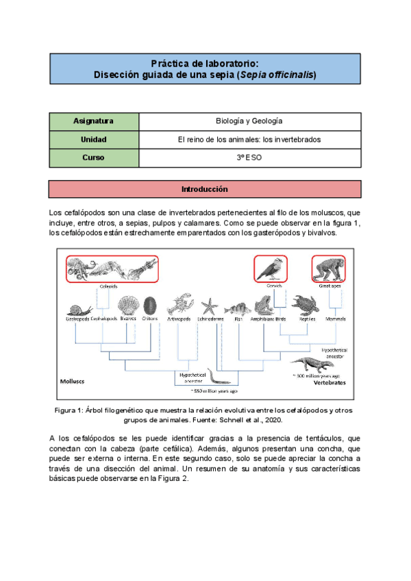 Actividad 2 Diseño de una practica de laboratorio.pdf
