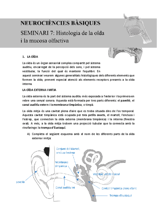 Seminari-7.-Histologia-oida-i-mucosa-olfactiva-23-24-dossier-trebaLL-EJERCICIOS-RESUELTOS.pdf