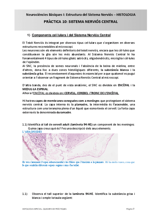 Practica-10-Neurociencies-Bas-I.-Sistema-Nervios-Central2324-EJERCICIOS-RESUELTOS.pdf