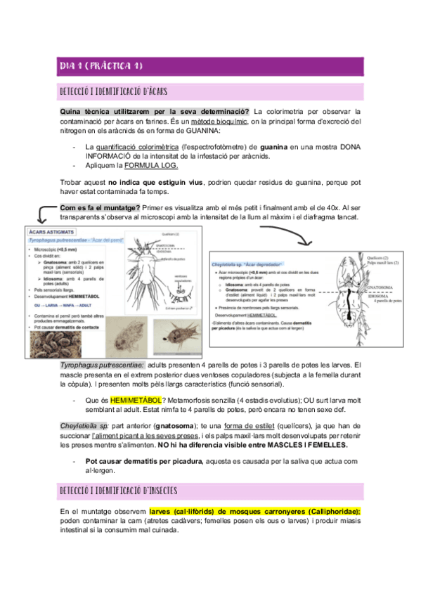 Resum-practiques-parasitologia.pdf