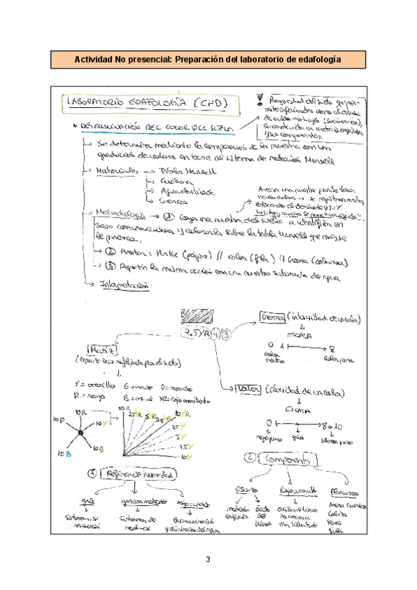 Actividad-No-presencial-Edafologia.pdf