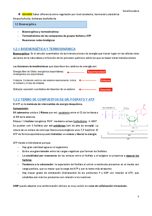 1.2-Bioenergetica.pdf