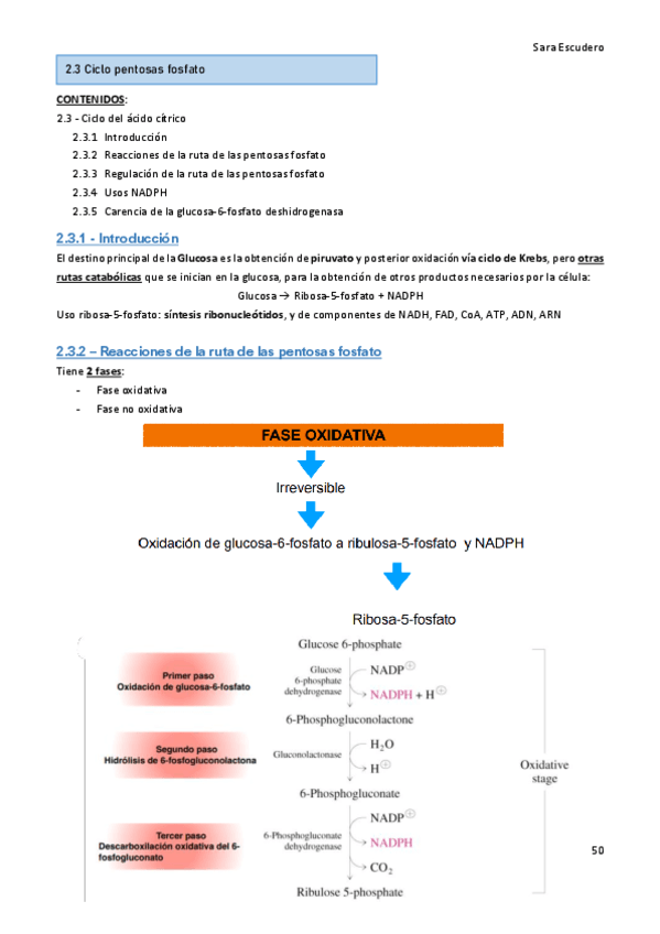 2.3-Ciclo-pentosas-fosfato.pdf