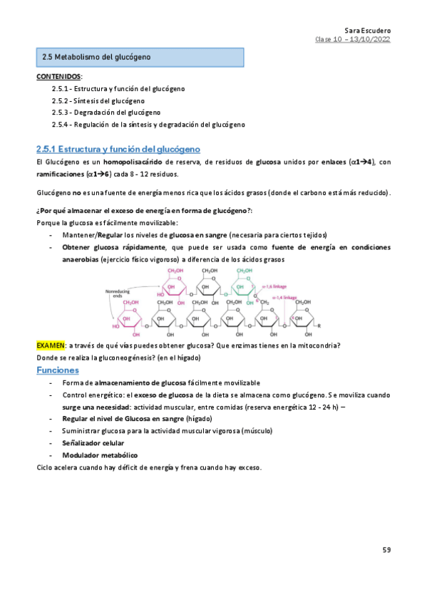 2.5-Metabolismo-glucogeno.pdf