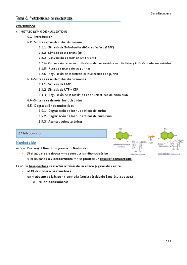 6.1-Nucleotidos.pdf