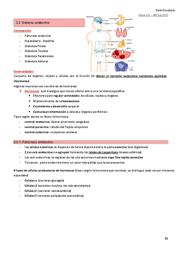 3.3-Sist-endocrino.pdf