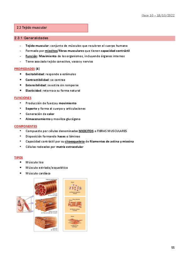 2.7-Tejido-muscular.pdf