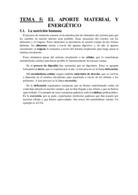 TEMA 5.pdf