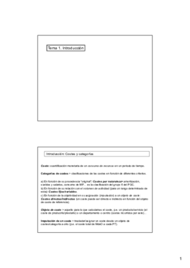 materiales 18 19 tema uno control de gestion.pdf