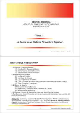 Tema 1 La Banca en el Sistema Financiero español 2018-2019.pdf