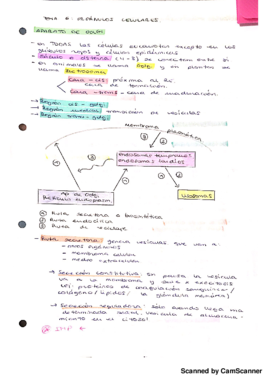 biologia t6.1.pdf