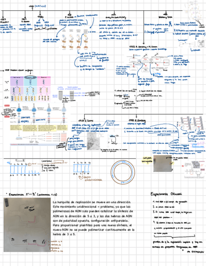 Apuntes.pdf