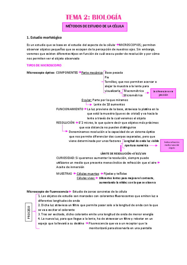 TEMA-2.pdf
