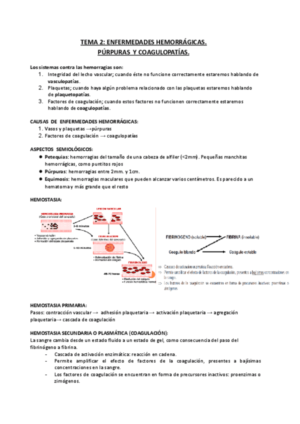 TEMA-2-Enfermedades-hemorragicas.-Purpuras-y-coagulopatias.pdf