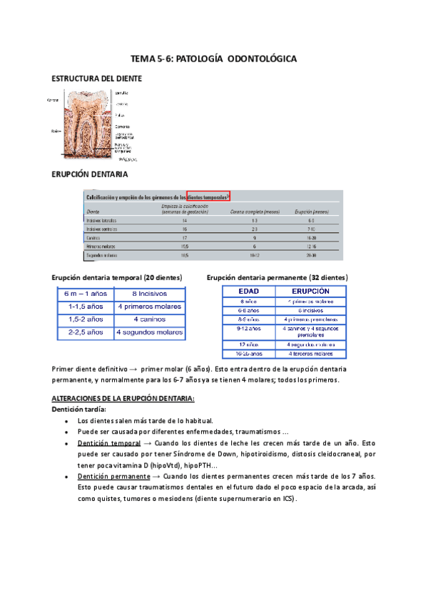TEMA-5-6-Patologia-odontologica.pdf