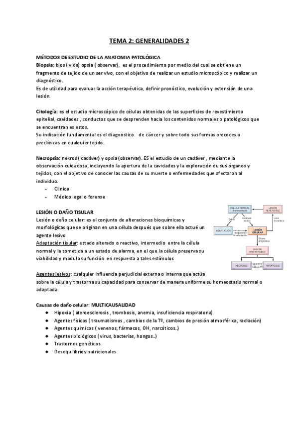 TEMA-2-Generalidades-2.pdf