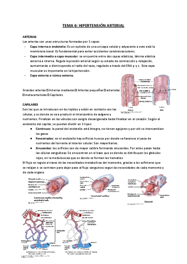 TEMA-6-Hipertension-arterial.pdf
