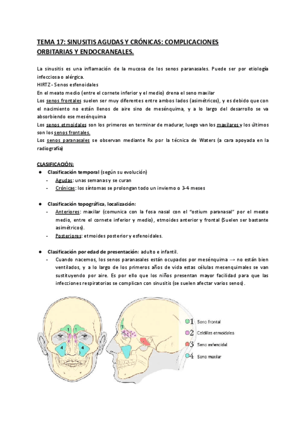 TEMA-17-SINUSITIS-1.pdf