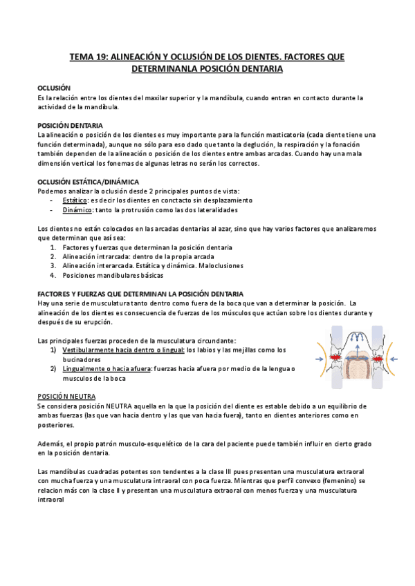 TEMA-19-Alineacion-y-oclusion-de-los-dientes.pdf