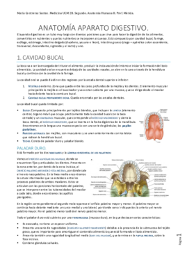 Anato Digestivo..docx.pdf