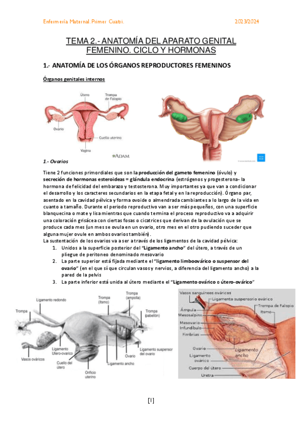 TEMA-2.-ANATOMIA-DEL-APARATO-GENITAL-FEMENINO.pdf