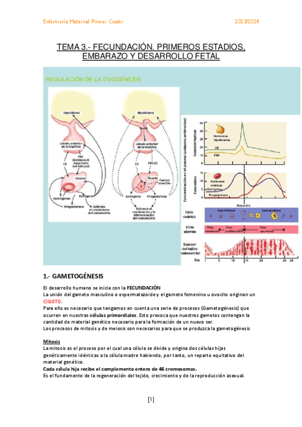 TEMA-3.-FECUNDACION.-PRIMEROS-ESTADIOS-EMBARAZO-Y-DESARROLLO-FETAL.pdf