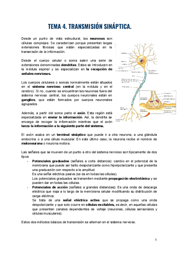 Tema-4.-Transmision-sinaptica..pdf