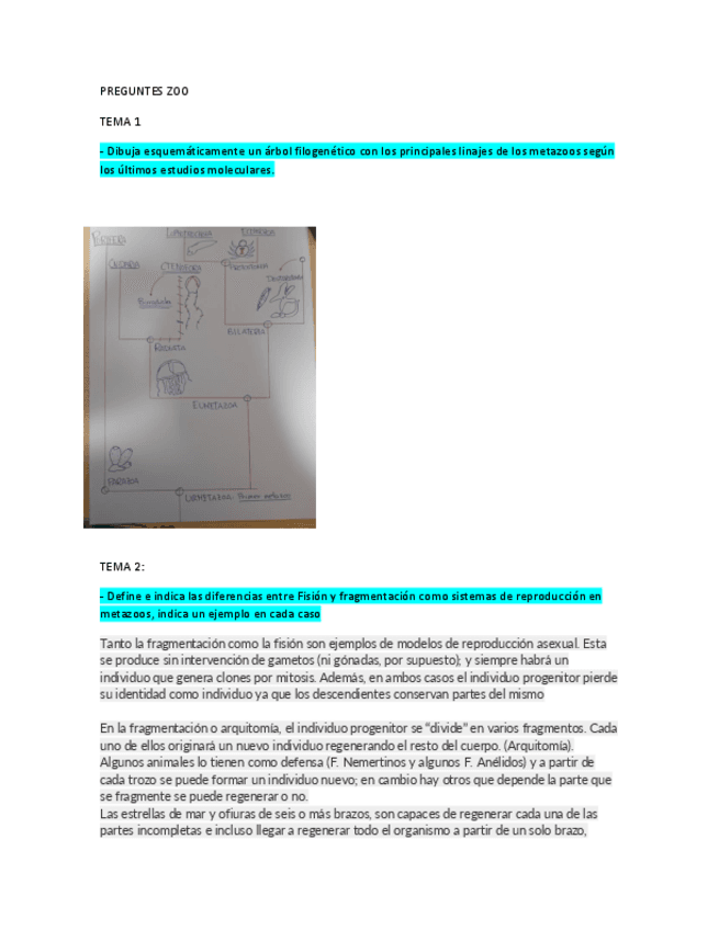 posibles-preguntes-zoo.pdf
