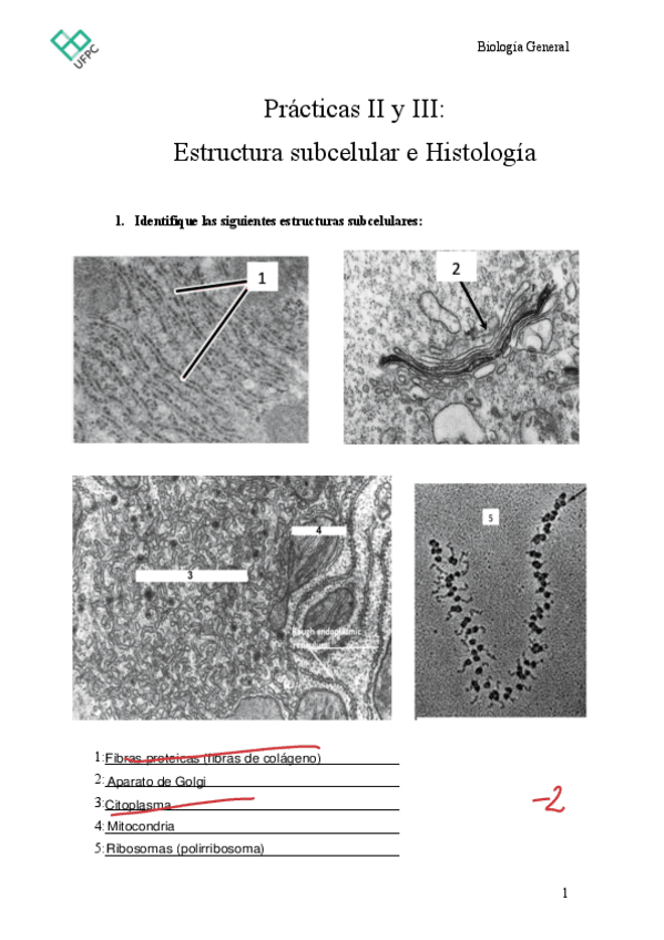 ACT-Microscopio.pdf