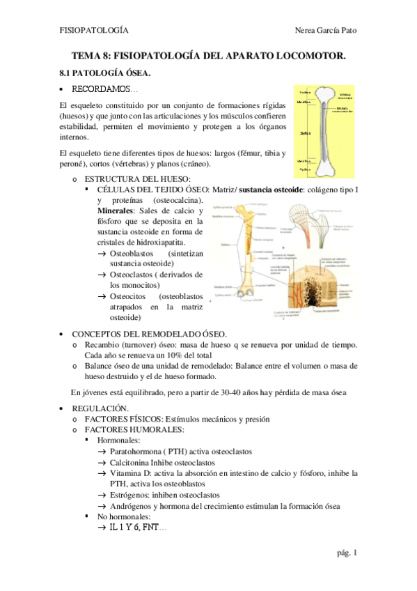 TEMA-8-FISIOPATOLOGIA-OSTEOMUSCULAR.pdf