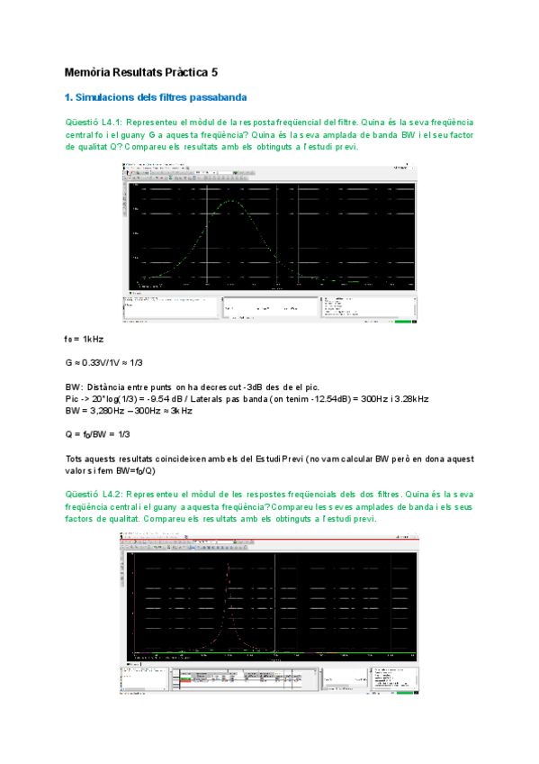 MemoriaP5FISE.pdf