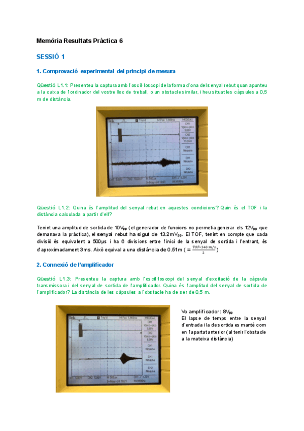 MemoriaP6FISE.pdf