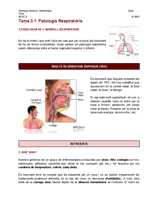Tema-3.1.-Patologia-Respiratoria-BLOC-3.pdf