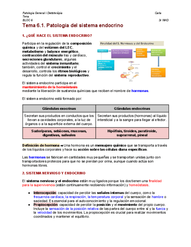 Tema-6.1.-Patologia-del-sistema-endocrino-BLOC-6.pdf