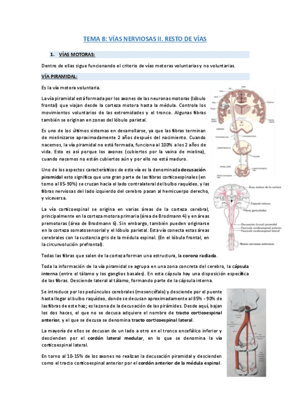 TEMA-8.-Vias-nerviosas-II.-resto-de-vias.pdf