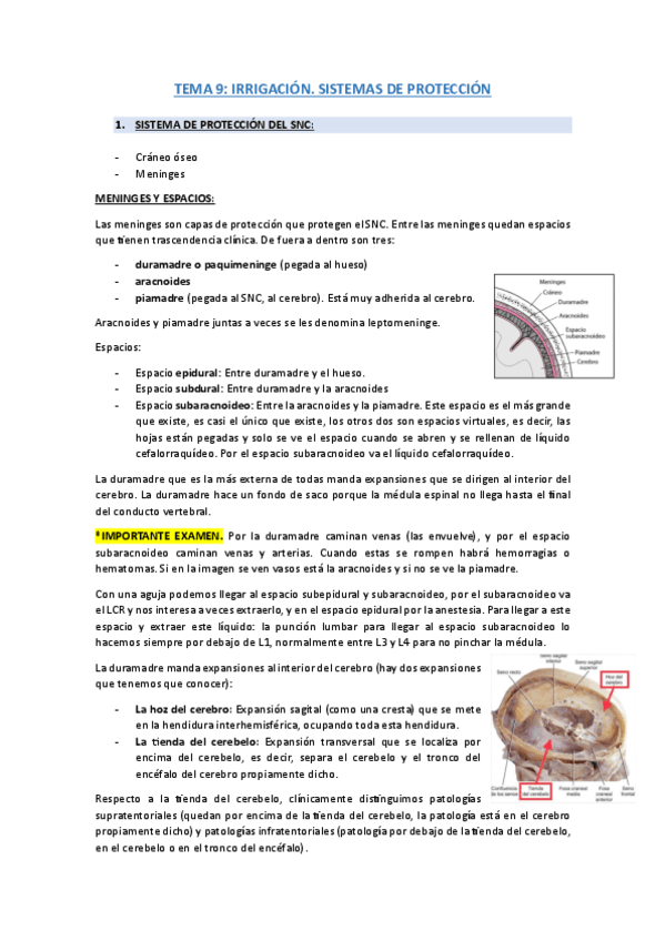 TEMA-9.-Irrigacion.-Sistemas-de-proteccion.pdf