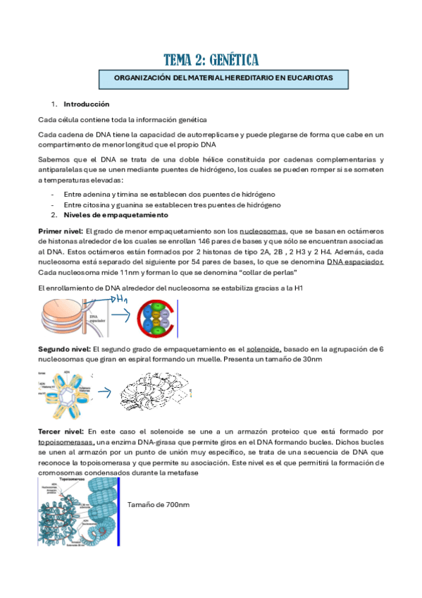 TEMA-2.pdf